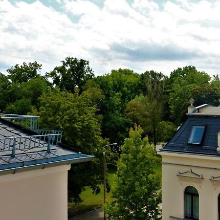 Zentral Gelegene Wohnung Nahe Schwanenteich Zwickau Buitenkant foto