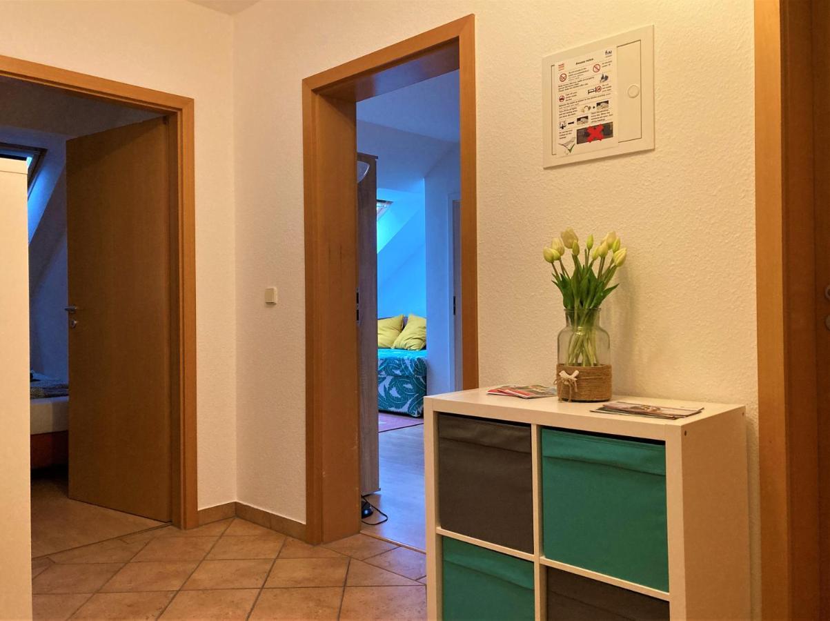 Zentral Gelegene Wohnung Nahe Schwanenteich Zwickau Buitenkant foto