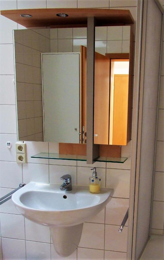Zentral Gelegene Wohnung Nahe Schwanenteich Zwickau Buitenkant foto