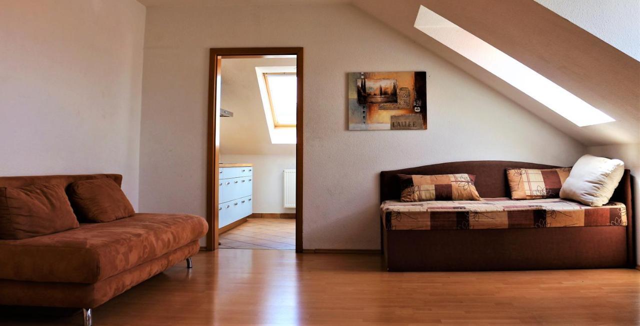 Zentral Gelegene Wohnung Nahe Schwanenteich Zwickau Buitenkant foto